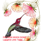 Colorful Humming Bird Cross Stitch Pattern***L@@K***Buyers Can Download Your Pattern As Soon As They Complete The Purchase