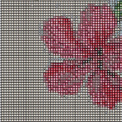 Ruby Throated Hummingbird Cross Stitch Pattern***L@@K***Buyers Can Download Your Pattern As Soon As They Complete The Purchase