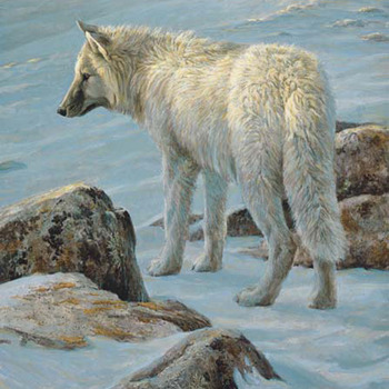 Arctic White Wolf Cross Stitch Pattern***L@@K***Buyers Can Download Your Pattern As Soon As They Complete The Purchase