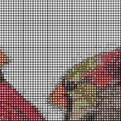Cardinals In DogWood Tree Cross Stitch Pattern***LOOK***Buyers Can Download Your Pattern As Soon As They Complete The Purchase