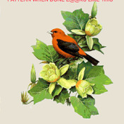 ScarLet Tanager Bird Cross Stitch Pattern***LOOK***Buyers Can Download Your Pattern As Soon As They Complete The Purchase