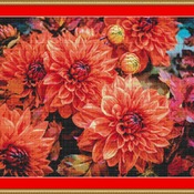 Dahlias Cross Stitch Pattern