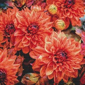 Dahlias Cross Stitch Pattern