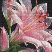 Jersey Lily Cross Stitch Pattern