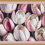 Pink And White Tulips Cross Stitch Pattern