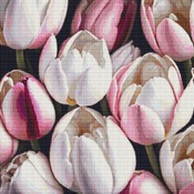 Pink And White Tulips Cross Stitch Pattern