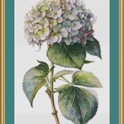 Pink Hydrangea Cross Stitch Pattern