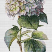 Pink Hydrangea Cross Stitch Pattern