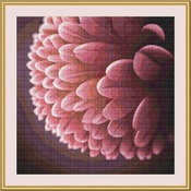 Pink Petals Cross Stitch Pattern