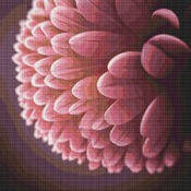 Pink Petals Cross Stitch Pattern