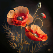 Pretty Poppies Cross Stitch Pattern