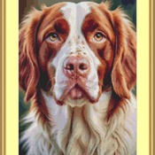 Brittany Spaniel Cross Stitch Pattern