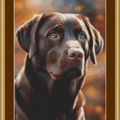 Chocolate Labrador Cross Stitch Pattern