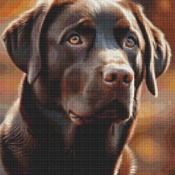 Chocolate Labrador Cross Stitch Pattern