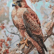 Falcon Cross Stitch Pattern