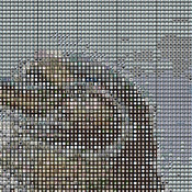 GaLapagos Penguins Cross Stitch Pattern***L@@K***Buyers Can Download Your Pattern As Soon As They Complete The Purchase