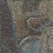 GaLapagos Penguins Cross Stitch Pattern***L@@K***Buyers Can Download Your Pattern As Soon As They Complete The Purchase