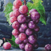 Grapes Cross Stitch Pattern