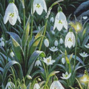 Snowdrops Cross Stitch Pattern