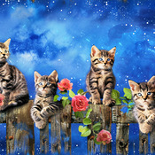 Tabby Kittens Cross Stitch Pattern