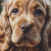 Cocker Spaniel Cross Stitch Pattern