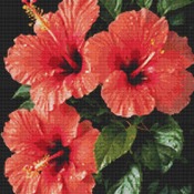 Orange Hibiscus Cross Stitch Pattern