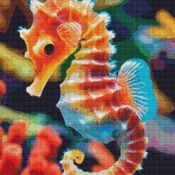 Seahorse Cross Stitch Pattern