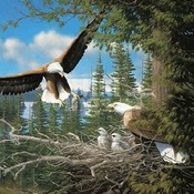 Spring Bald Eagles Cross Stitch Pattern***L@@K***Buyers Can Download Your Pattern As Soon As They Complete The Purchase