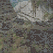 Spring Bald Eagles Cross Stitch Pattern***L@@K***Buyers Can Download Your Pattern As Soon As They Complete The Purchase