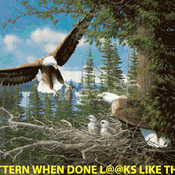 Spring Bald Eagles Cross Stitch Pattern***L@@K***Buyers Can Download Your Pattern As Soon As They Complete The Purchase