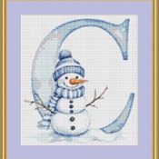 C Cross Stitch Pattern