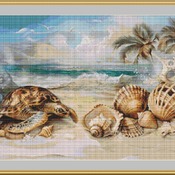 Turtle And Seashells Cross Stitch Pattern