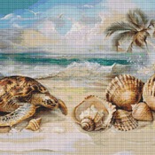 Turtle And Seashells Cross Stitch Pattern