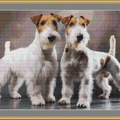 Wire Fox Terriers Cross Stitch Pattern