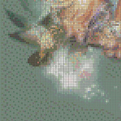 Birds In Gods Hands Cross Stitch Pattern***L@@K***Buyers Can Download Your Pattern As Soon As They Complete The Purchase