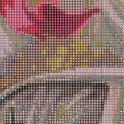 Ohio State Buckeyes TaiLgate Cross Stitch Pattern***L@@K***