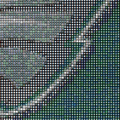 Philadelphia Eagles Cross Stitch Pattern***LOOK***$2.95