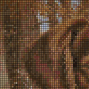 Brittany Portrait Cross Stitch Pattern***L@@K***