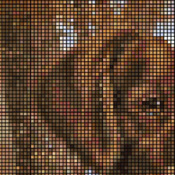 Brittany Portrait Cross Stitch Pattern***L@@K***
