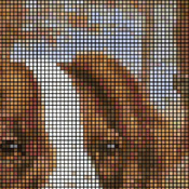Brittany Portrait Cross Stitch Pattern***L@@K***