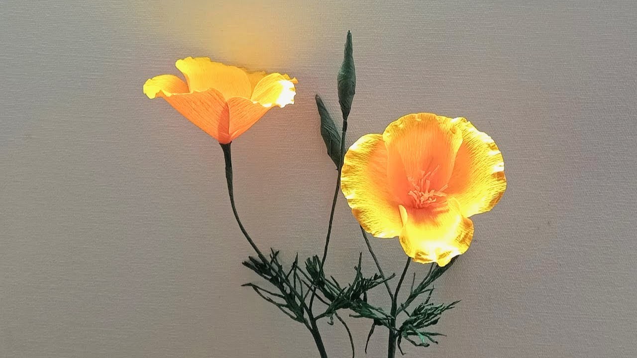 California poppy | Crepe Paper Flower | Artificial Flower | DIY