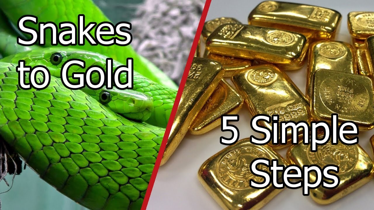 Life Hack: Turn Snakes Into Gold in Five Simple Steps #diy #funny